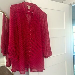 Beautiful sheer Banana Republic blouse XL